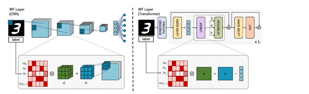 WF-Net weight-filtering layers for CNN and Transformer architectures