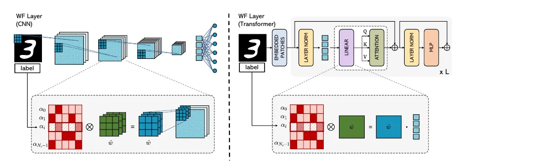 WF-Net weight-filtering layers for CNN and Transformer architectures